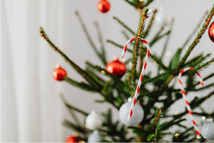 DIY Tree Skirts & Recipes for Your Holiday Party